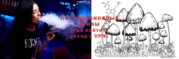гашик Лихославль