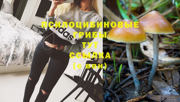 герыч Магадан