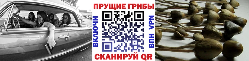 Купить  Шарья  Галлюциногенные грибы ЛСД 